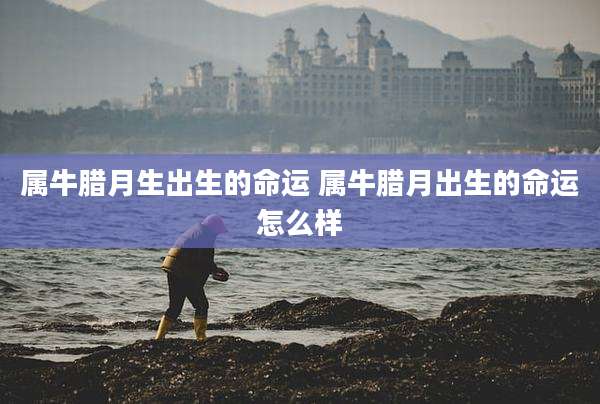 属牛腊月生出生的命运 属牛腊月出生的命运怎么样
