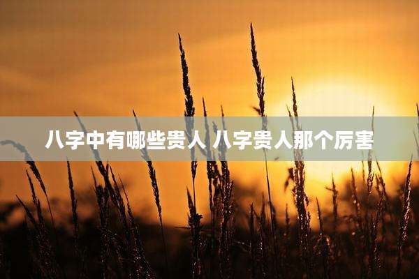 八字中有哪些贵人 八字贵人那个厉害