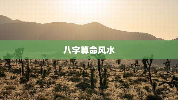 八字算命风水