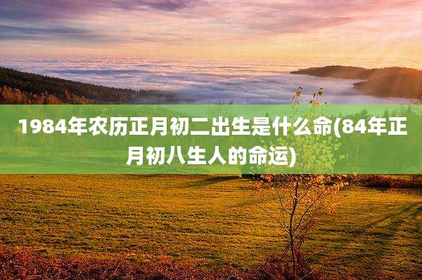 1984年农历正月初二出生是什么命(84年正月初八生人的命运)