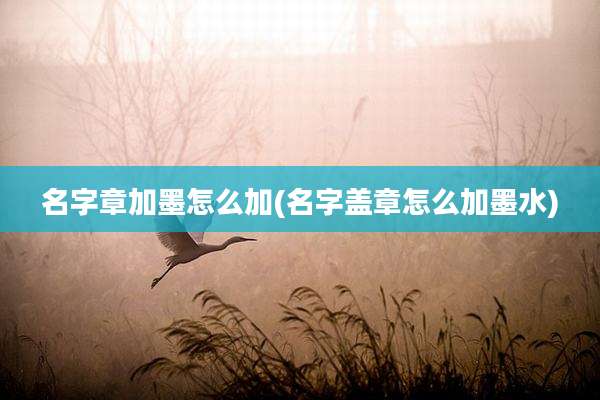 名字章加墨怎么加(名字盖章怎么加墨水)