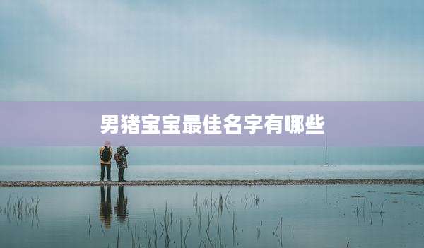 男猪宝宝最佳名字有哪些