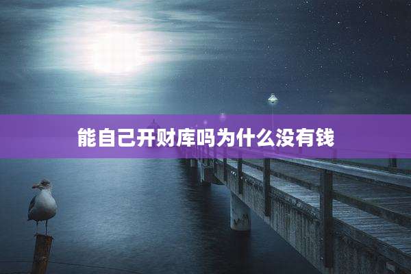能自己开财库吗为什么没有钱