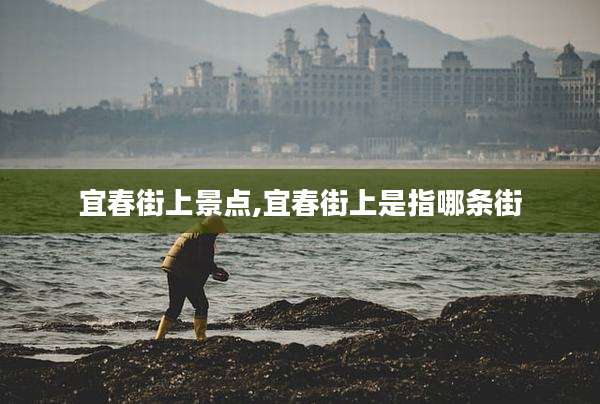 宜春街上景点,宜春街上是指哪条街