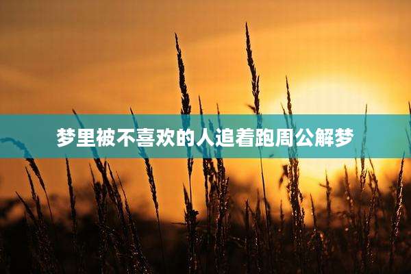 梦里被不喜欢的人追着跑周公解梦