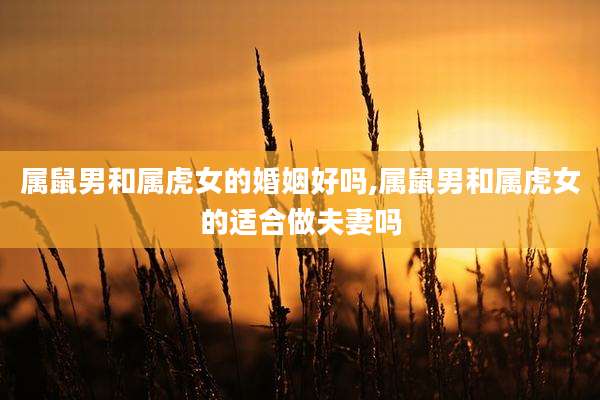 属鼠男和属虎女的婚姻好吗,属鼠男和属虎女的适合做夫妻吗