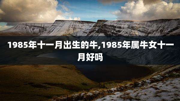 1985年十一月出生的牛,1985年属牛女十一月好吗
