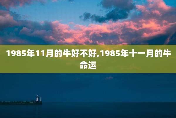 1985年11月的牛好不好,1985年十一月的牛命运