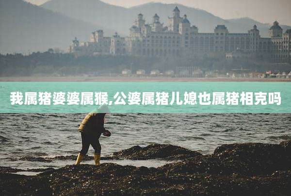 我属猪婆婆属猴,公婆属猪儿媳也属猪相克吗
