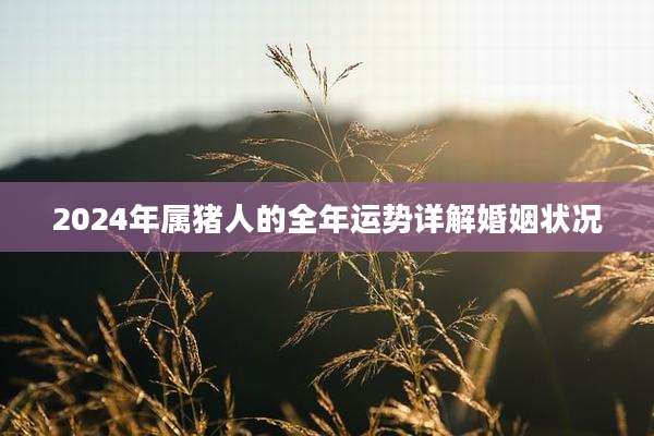 2024年属猪人的全年运势详解婚姻状况