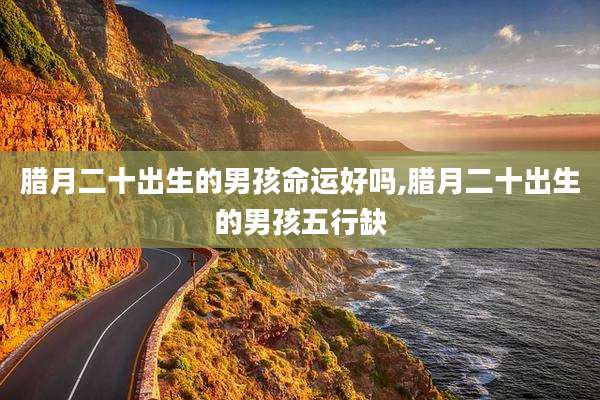腊月二十出生的男孩命运好吗,腊月二十出生的男孩五行缺