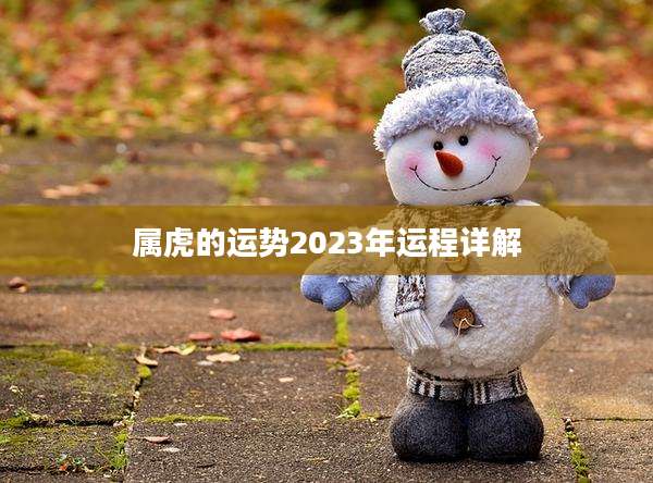 属虎的运势2023年运程详解