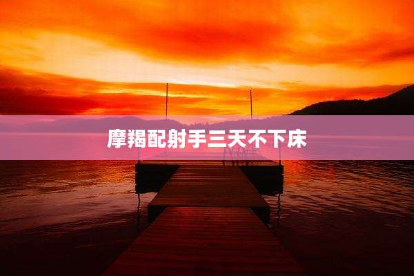 摩羯配射手三天不下床