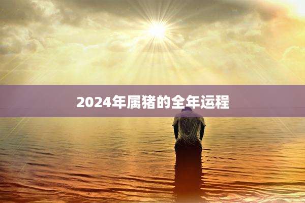 2024年属猪的全年运程