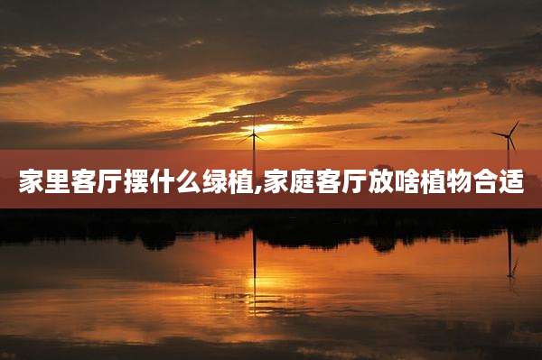 家里客厅摆什么绿植,家庭客厅放啥植物合适