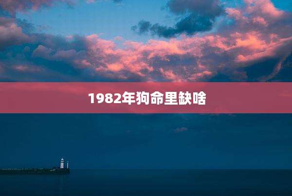 1982年狗命里缺啥