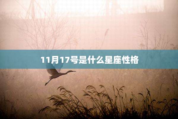11月17号是什么星座性格