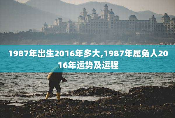 1987年出生2016年多大,1987年属兔人2016年运势及运程