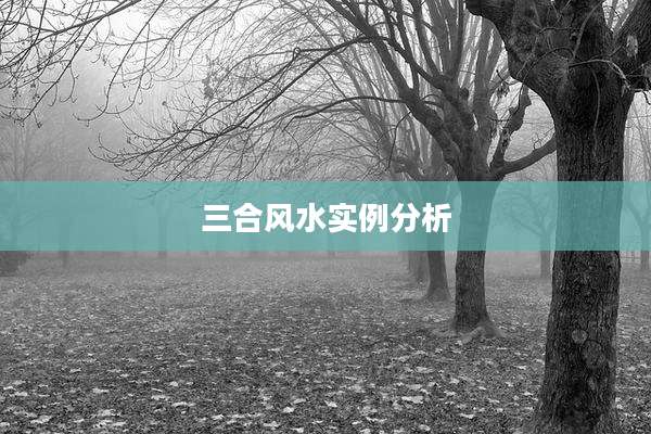三合风水实例分析
