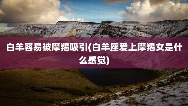 白羊容易被摩羯吸引(白羊座爱上摩羯女是什么感觉)