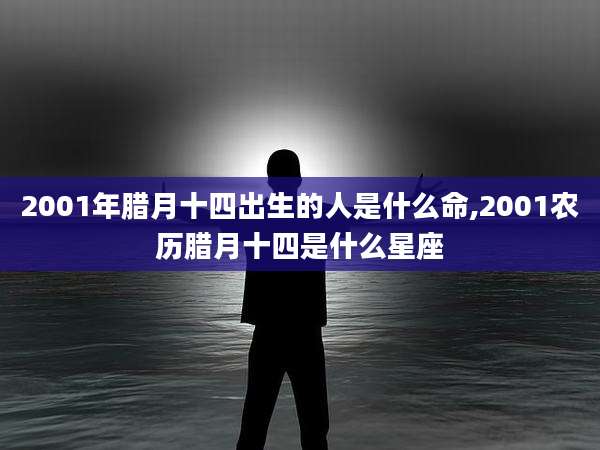 2001年腊月十四出生的人是什么命,2001农历腊月十四是什么星座