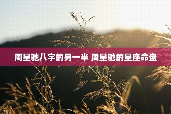 周星驰八字的另一半 周星驰的星座命盘