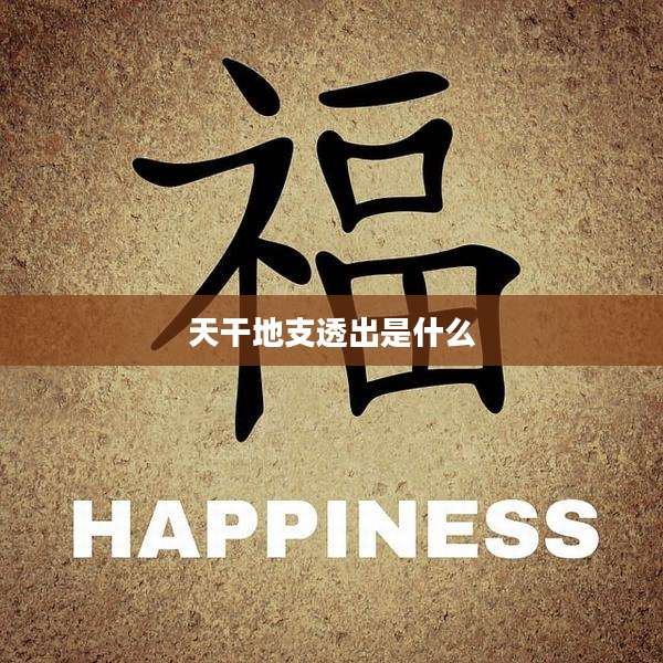 天干地支透出是什么