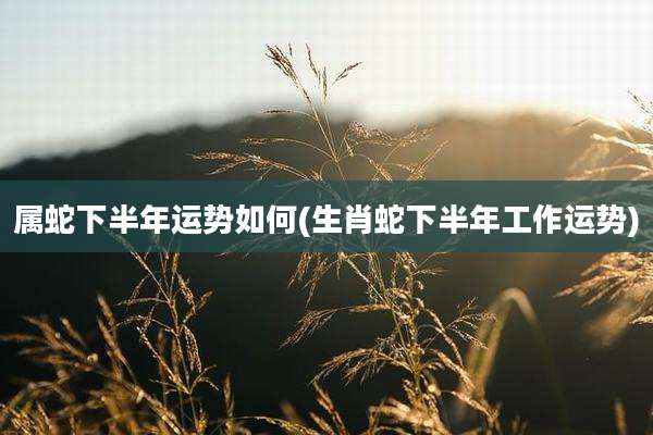 属蛇下半年运势如何(生肖蛇下半年工作运势)