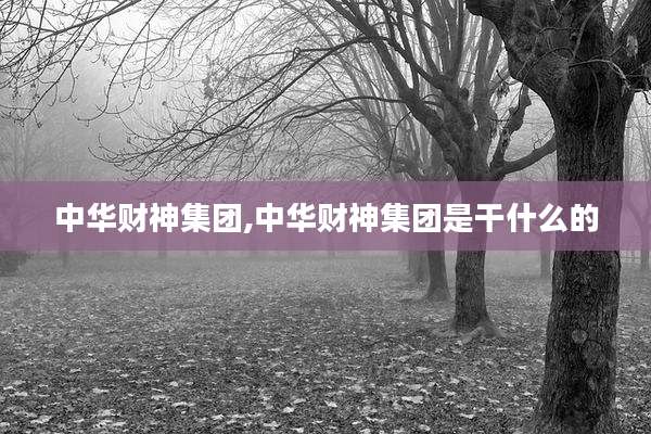 中华财神集团,中华财神集团是干什么的