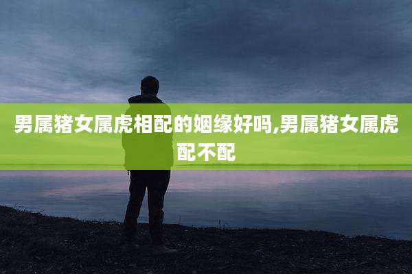 男属猪女属虎相配的姻缘好吗,男属猪女属虎配不配