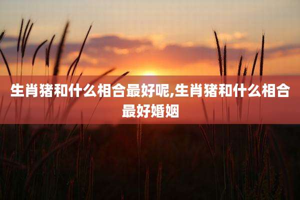 生肖猪和什么相合最好呢,生肖猪和什么相合最好婚姻