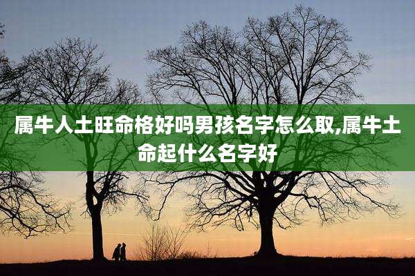 属牛人土旺命格好吗男孩名字怎么取,属牛土命起什么名字好