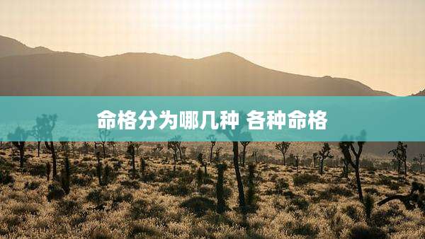 命格分为哪几种 各种命格