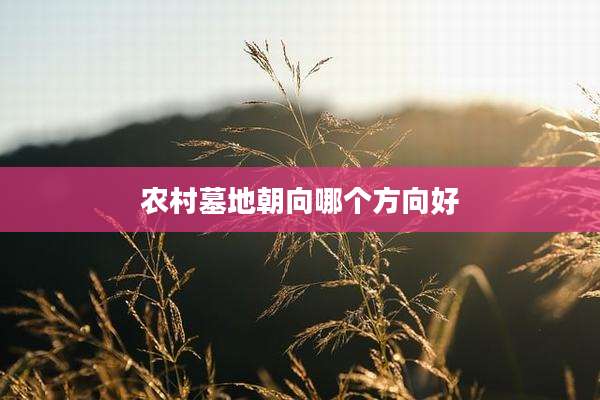 农村墓地朝向哪个方向好
