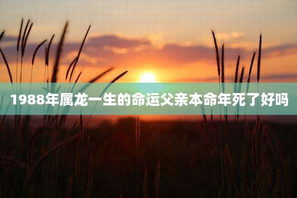 1988年属龙一生的命运父亲本命年死了好吗