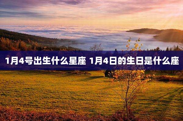 1月4号出生什么星座 1月4日的生日是什么座