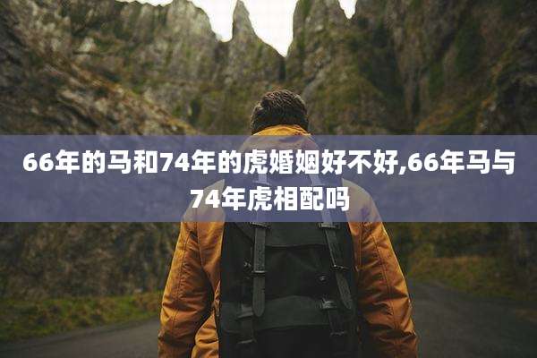 66年的马和74年的虎婚姻好不好,66年马与74年虎相配吗