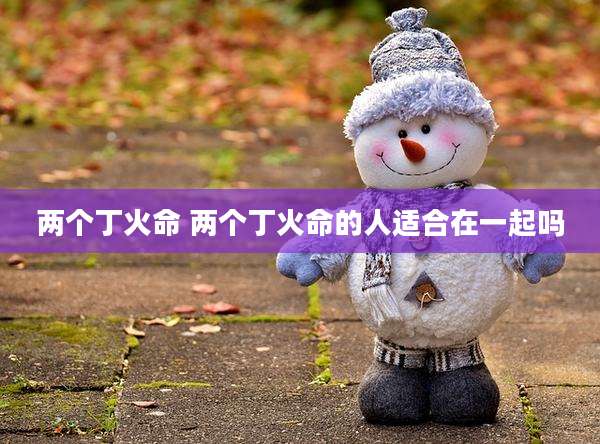 两个丁火命 两个丁火命的人适合在一起吗
