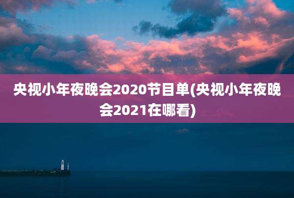 央视小年夜晚会2020节目单(央视小年夜晚会2021在哪看)