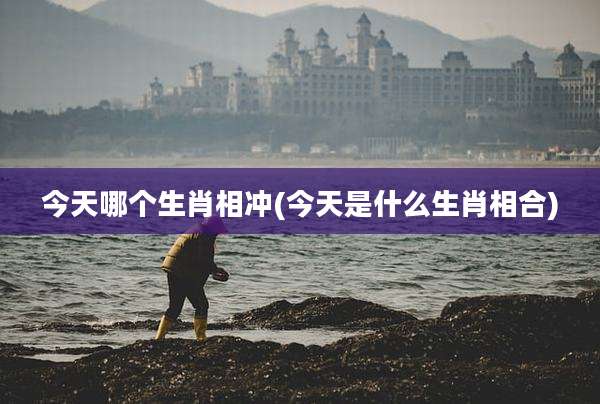 今天哪个生肖相冲(今天是什么生肖相合)