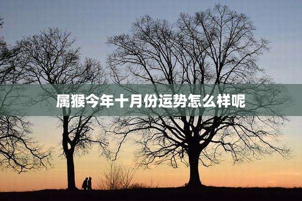 属猴今年十月份运势怎么样呢