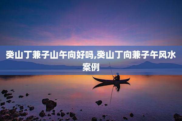 癸山丁兼子山午向好吗,癸山丁向兼子午风水案例