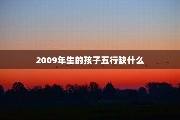2009年生的孩子五行缺什么