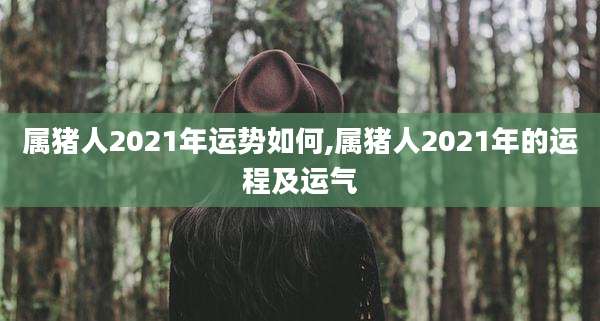 属猪人2021年运势如何,属猪人2021年的运程及运气