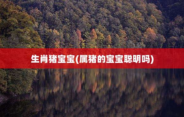 生肖猪宝宝(属猪的宝宝聪明吗)
