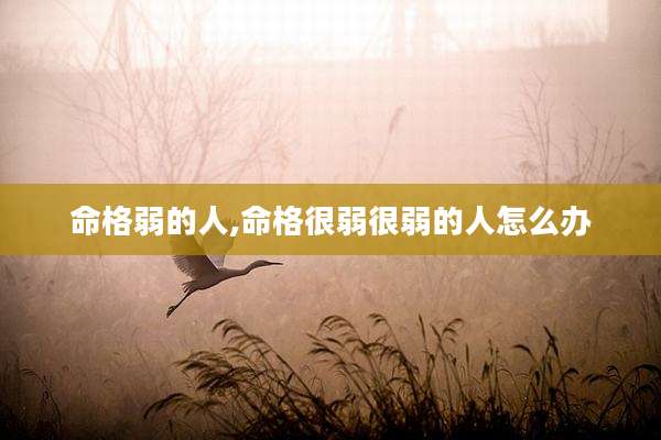 命格弱的人,命格很弱很弱的人怎么办