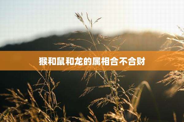 猴和鼠和龙的属相合不合财