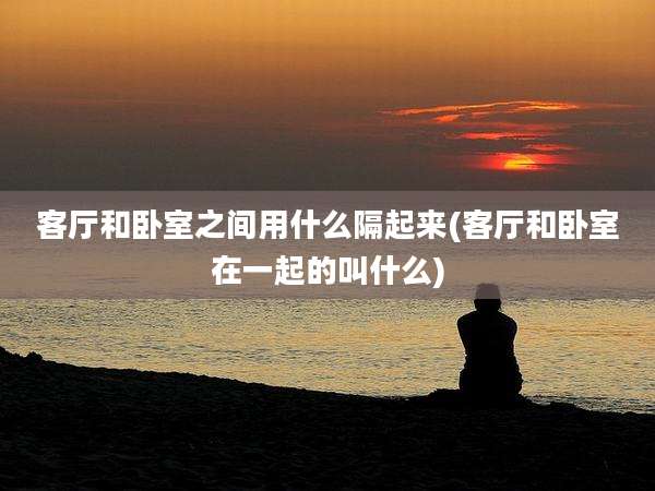 客厅和卧室之间用什么隔起来(客厅和卧室在一起的叫什么)