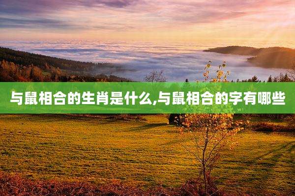 与鼠相合的生肖是什么,与鼠相合的字有哪些