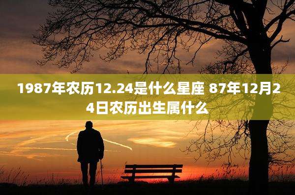 1987年农历12.24是什么星座 87年12月24日农历出生属什么
